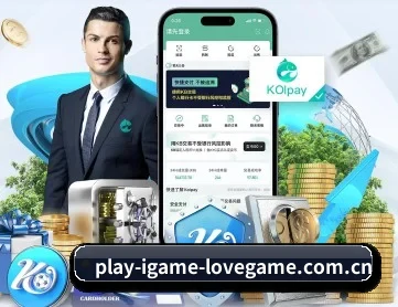 AYX官方 APP