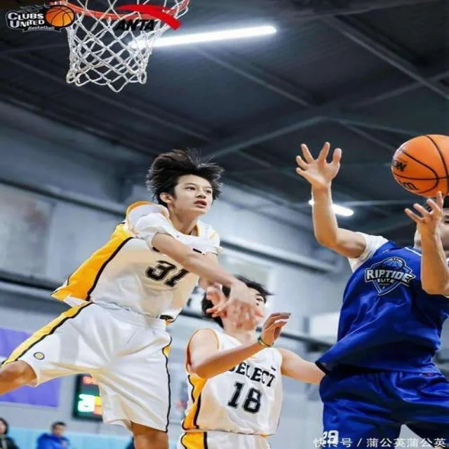 全新视角解读优质赛事资讯与新闻动态